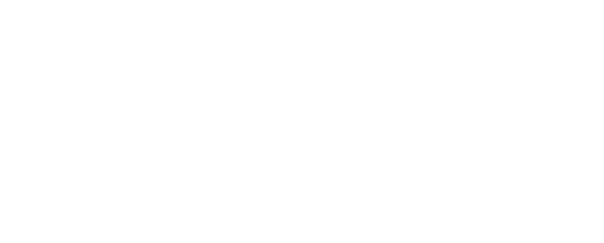 Southern Center for Opportunity and Access